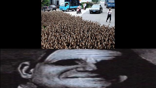 Анатидаефобия: смотреть онлайн