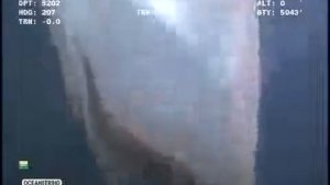 На дне океана нашли загадочное чудовище