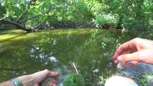 ??Рыбалка на ПОПЛАВОК с КОРМУШКОЙ / ловля карася на поплавочную удочку в июле летом