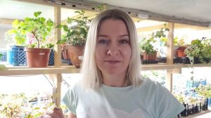 Такая важная ВЕНТИЛЯЦИЯ! Про устройство вентиляции для растений советы и опыт Ани