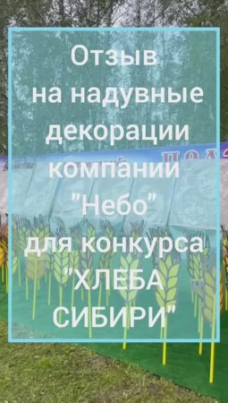 Отзыв на надувные фигуры от компании "Небо" для конкурса "Хлеба Сибири" в Новосибирской области