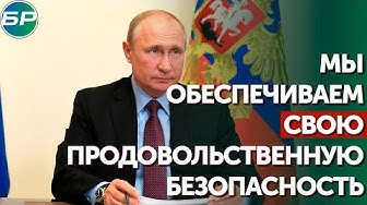 Путин: мы обеспечиваем свою продовольственную безопасность