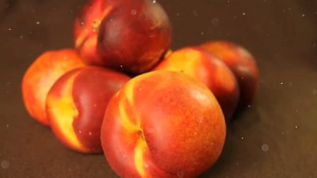 Как Выращивать Нектарин Из Косточки В Домашних Условиях смотреть онлайн