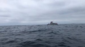 Прогулка с китами | Горбатые Киты | экскурсия в Тихом Океане | Эквадор