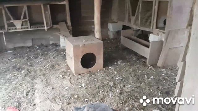 ЖИВЕМ В ДЕРЕВНЕ БЕЛАРУСЬ.Завалило листьями.