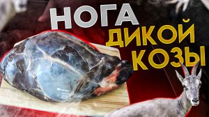 Как приготовить ногу дикой козы, нога козы в духовке, как готовить мясо козы.