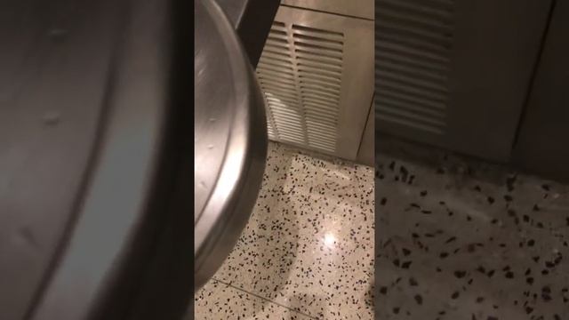 Back to school edition of the International arrivals area at Terminal E смотреть онлайн