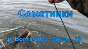 Сомятники: р. Волга 2023. Часть - 10.