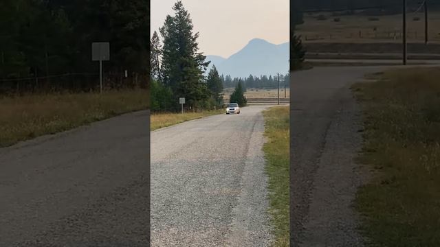 Jdm Subaru Forester Hks Bov Sound. @rsg_swiss ON INSTAGRAM