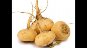 Репа и ее семена