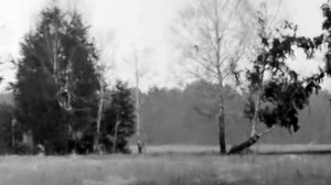 1969 год. Тюменский район. Овсяное поле