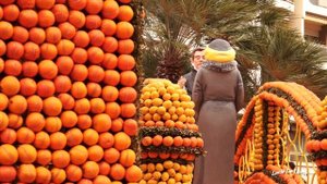 Fête du Citron. Jardins Biovès. Франция.Ментон.