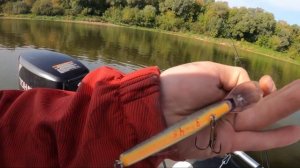 Осенняя рыбалка на спиннинг | Рыбалка на ОКЕ в районе Тарусы