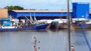 Порт Конакри. Выгрузка.