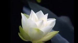 Ганеша Атхарва Ширша