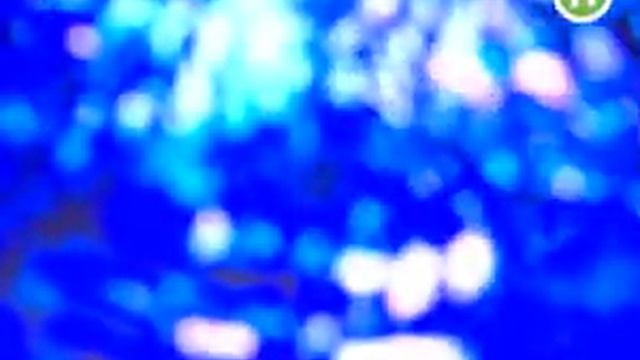 С.Вакарчук в программе "Мечты сбываются"