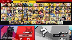 Smash Bros with a Cat_2