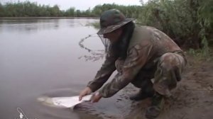 На Рыбалку - Монгольский краснопёр на Амуре