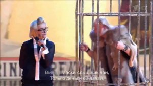 Лайма Вайкуле и Иван Вабешевич  #вайкуле #лайма #россия #шоубизнес #двезвезды