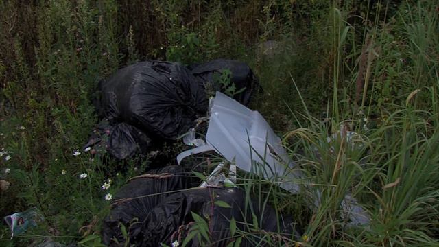 Рейд по СНТ смотреть онлайн