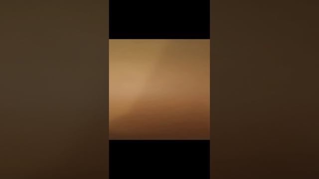 Нематода микрочервь