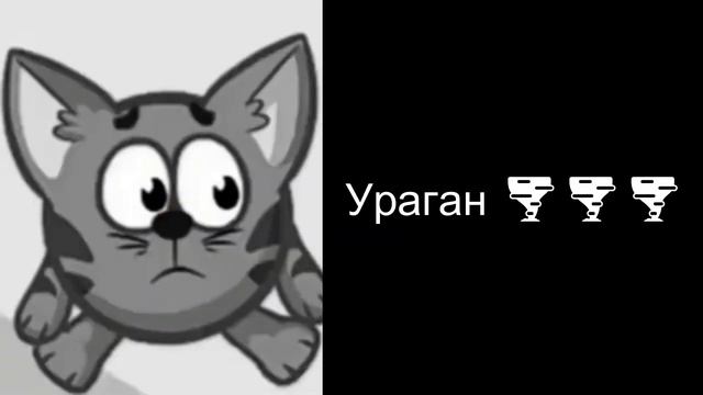 Какая сейчас погода: