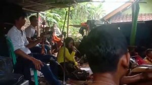 Atraksi buronan dan adu bagong dari rombongan seni Derma Putra Saluyu