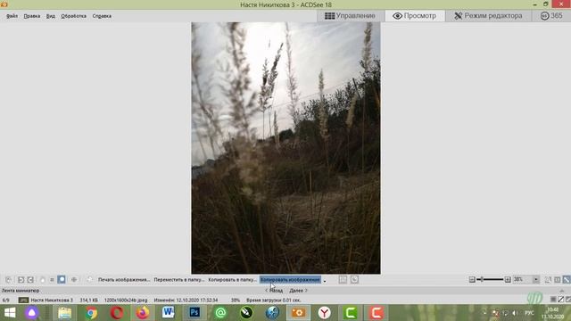 Урок "Коррекция фото" смотреть онлайн