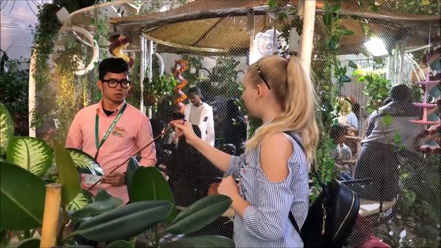 ВЛОГ: ДУБАЙ//МАМА ПРИЕХАЛА//САД ЦВЕТОВ И БАБОЧЕК//ПЛЯЖ ЛЯ МЭР//ЧАЙ В ОТЕЛЕ ВЕРСАЧЕ смотреть онлайн