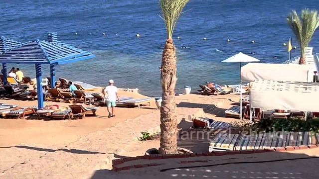 Свежий обзор отеля Grand Oasis в Шарм Эль Шейх. Экскурсии в Шарм Эль Шейх