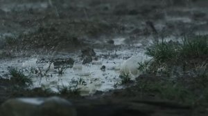 Under Armour | Storm Technology