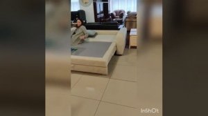 Диван Ринго