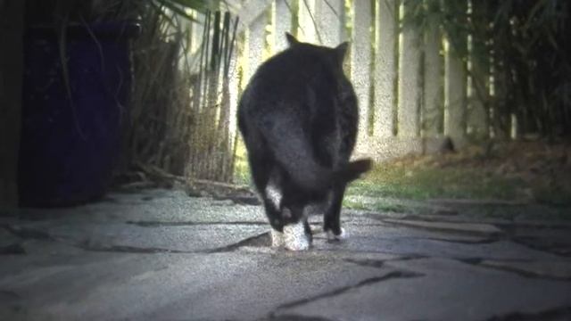 Depth of Field Test with Pana GS400 смотреть онлайн