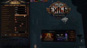 Path of Exile Lag: Game Settings To Improve FPS & Performance