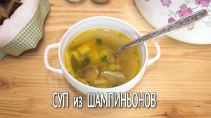 Грибной суп из шампиньонов. Как приготовить суп из консервированных шампиньонов, быстро и вкусно.