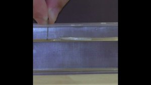 Водоплавающая монетка/Floating coin #physics #surfacetension #shorts