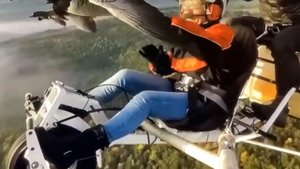 Чиж ( Чеграков) - Летят перелетные птицы!