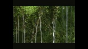 Вся правда о водопроводной воде!