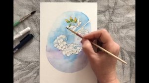 Рисуем гроздь рябины акварелью