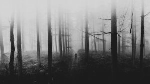 Лес ошибок не прощает - как в Югре устроен поиск потерявшихся людей