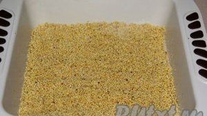 Пшённик в духовке