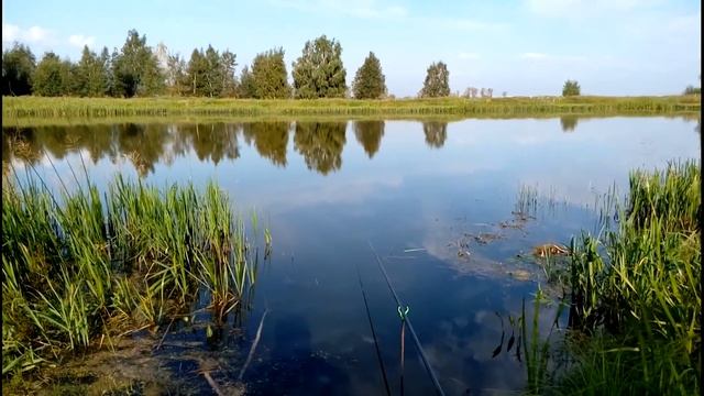 Ловля плотвы на маховую удочку. Озеро Горново. смотреть онлайн