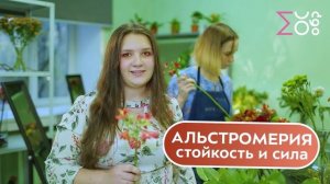 Креативное поздравление от студентов колледжа «26 КАДР» | С Днём учителя!