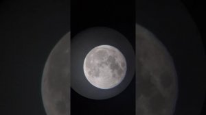 Celestron ExploraScope 80AZ. Full Moon