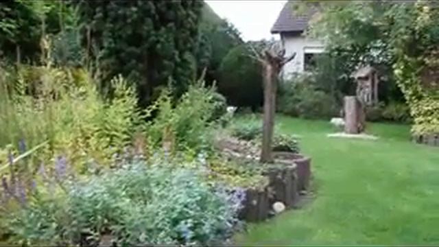 Ragdoll creme lynx mitted смотреть онлайн