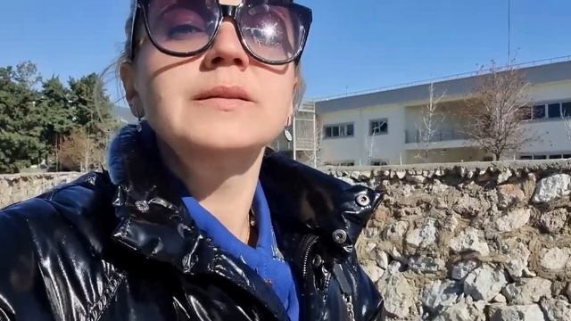 Жизнь в Алании. Животные в Турции. Алания обзор