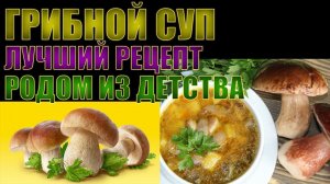 ГРИБНОЙ СУП ИЗ СВЕЖИХ ЛЕСНЫХ ГРИБОВ | ВКУС ИЗ ДЕТСТВА | ЛУЧШИЙ РЕЦЕПТ | ГОТОВИТЬ ВСЕМ !!!