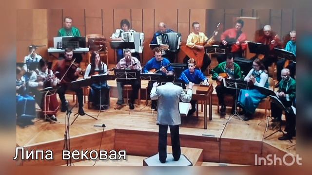 "Липа вековая" рнп смотреть онлайн