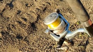 О рыбалке на нижней волге. Июль 21 года.