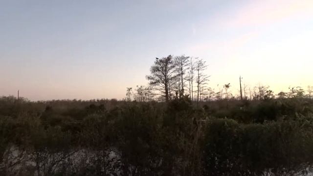 Sony DSC HX300 Zoom Test смотреть онлайн